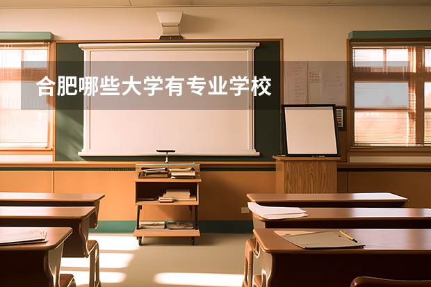 合肥哪些大学有专业学校