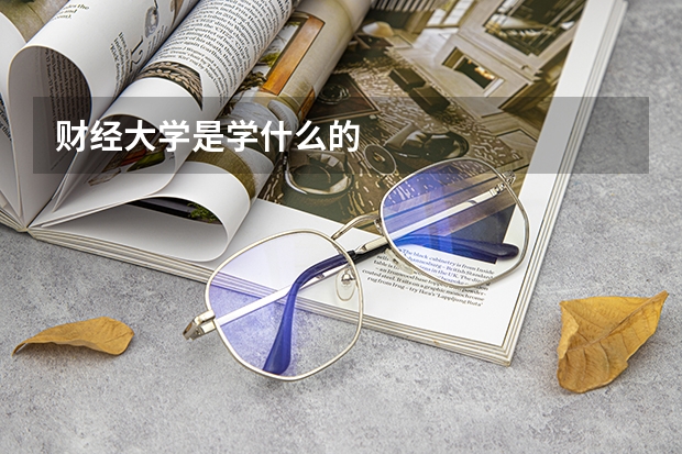 财经大学是学什么的