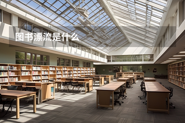 图书漂流是什么
