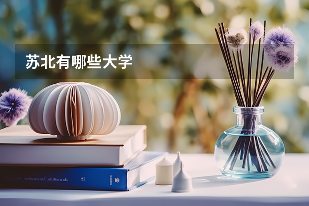 苏北有哪些大学