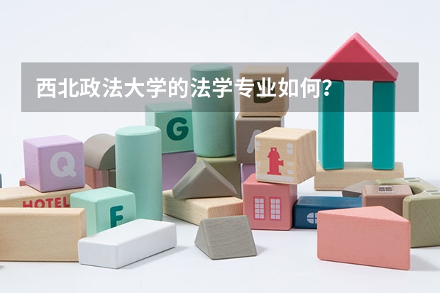 西北政法大学的法学专业如何？