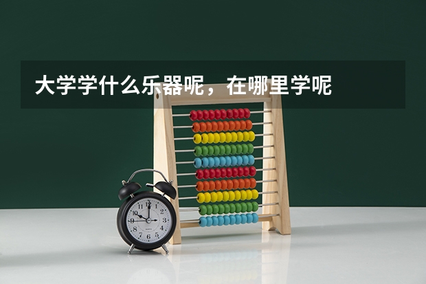 大学学什么乐器呢，在哪里学呢