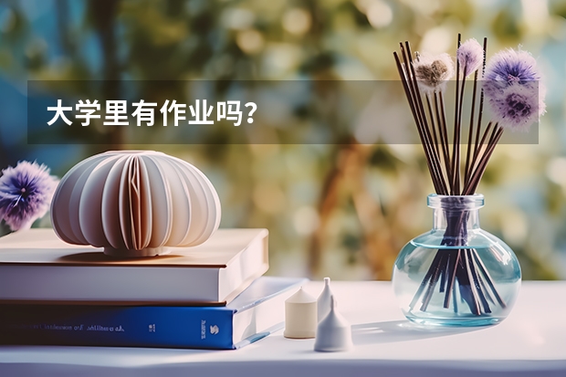 大学里有作业吗？