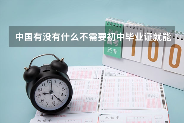中国有没有什么不需要初中毕业证就能去的技校之类的,就是能学设计或者画画 或者面点的学校呀?