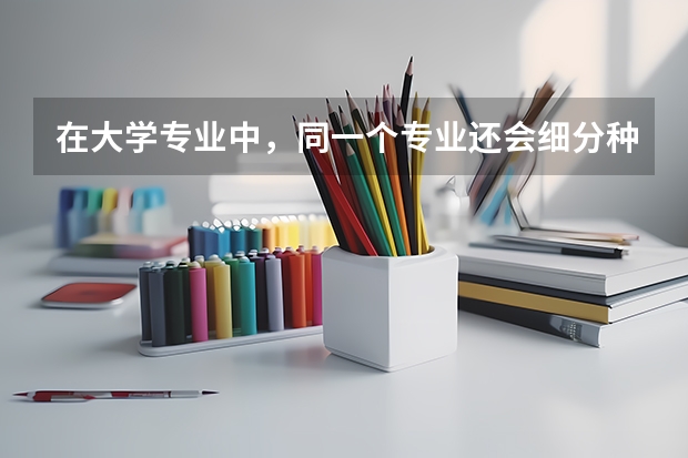 在大学专业中，同一个专业还会细分种类吗？