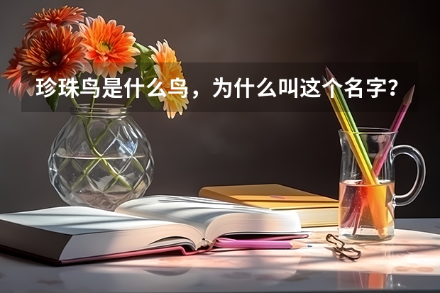 珍珠鸟是什么鸟,为什么叫这个名字?