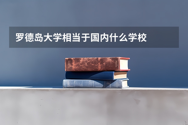 罗德岛大学相当于国内什么学校