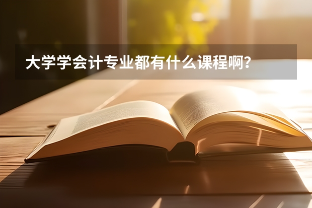 大学学会计专业都有什么课程啊？