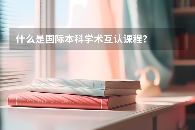 什么是国际本科学术互认课程？