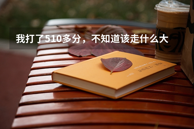 我打了510多分，不知道该走什么大学前辈吗给点意见吧