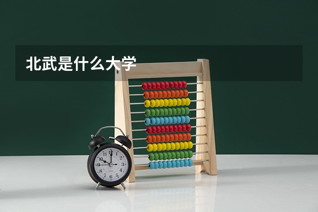 北武是什么大学