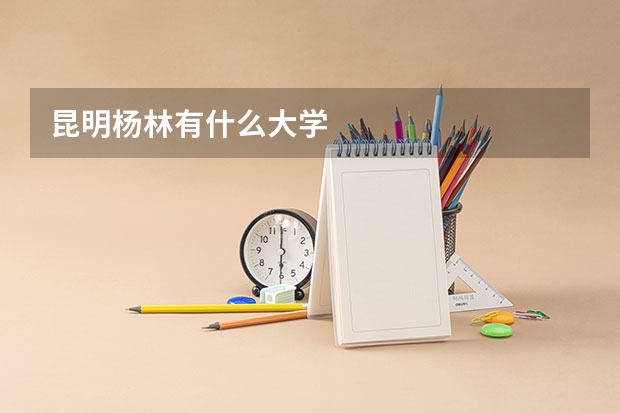 昆明杨林有什么大学