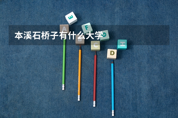 本溪石桥子有什么大学