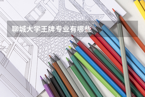 聊城大学王牌专业有哪些