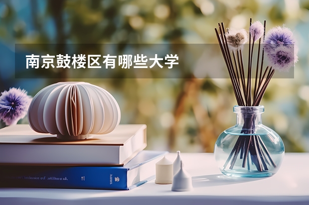 南京鼓楼区有哪些大学