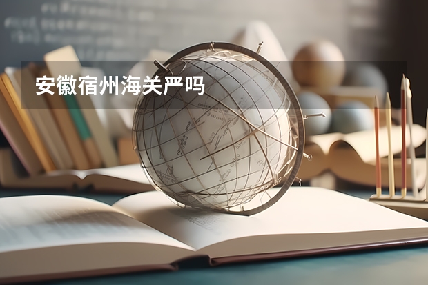 安徽宿州海关严吗