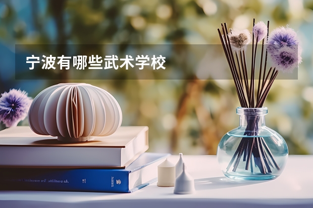 宁波有哪些武术学校