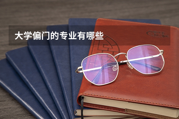 大学偏门的专业有哪些