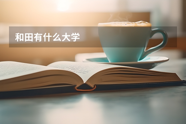 和田有什么大学