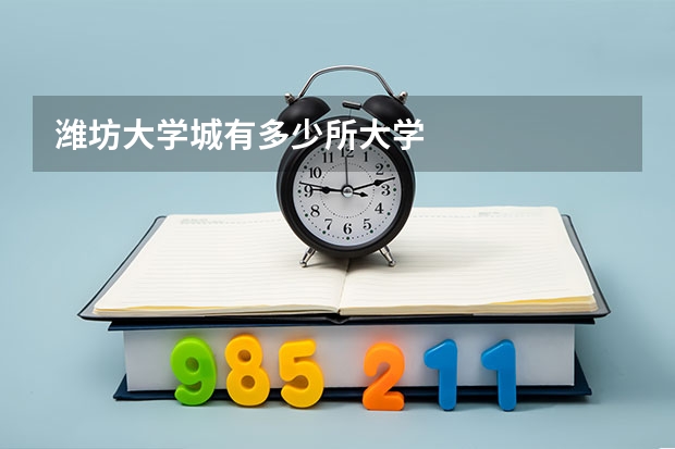 潍坊大学城有多少所大学