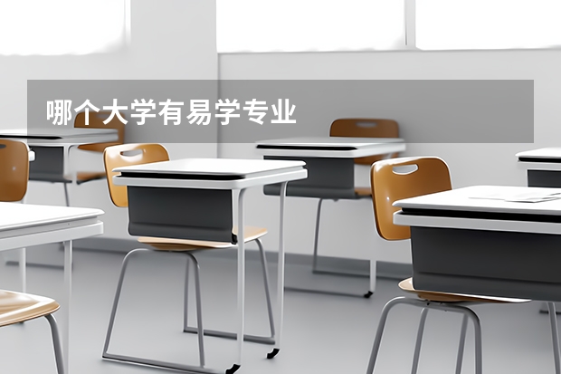 哪个大学有易学专业