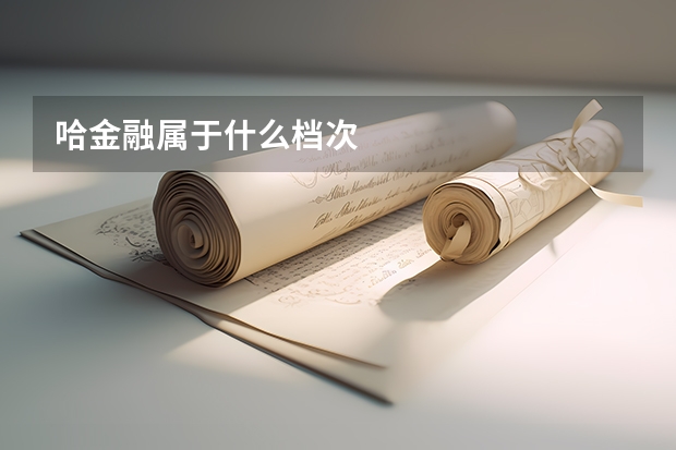 哈金融属于什么档次