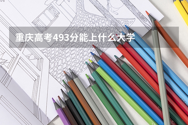重庆高考493分能上什么大学
