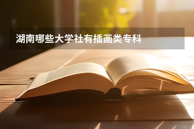 湖南哪些大学社有插画类专科