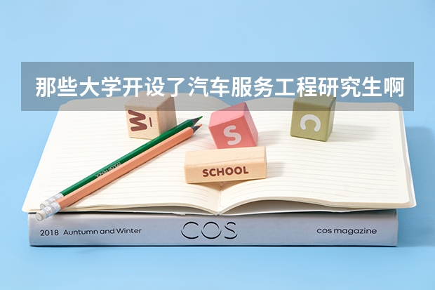 那些大学开设了汽车服务工程研究生啊?(汽车修理专业大学排名)