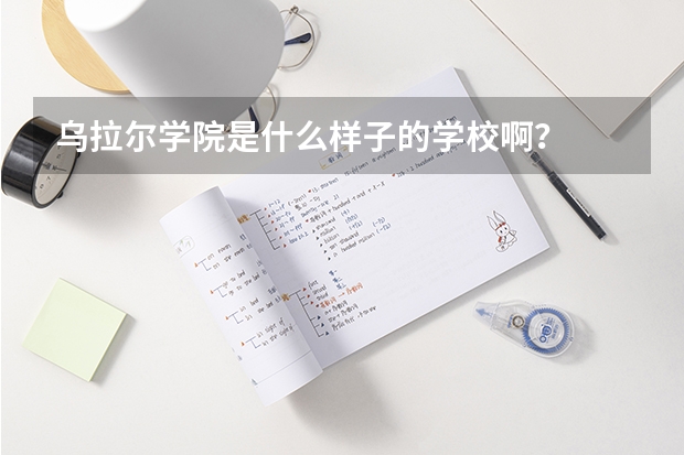 乌拉尔学院是什么样子的学校啊？