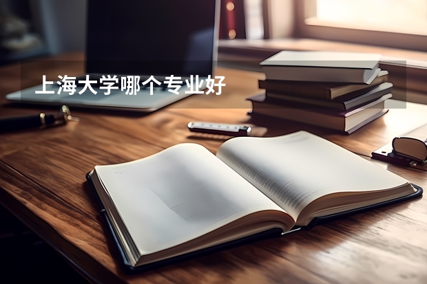 上海大学哪个专业好