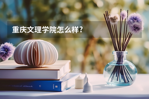 重庆文理学院怎么样?
