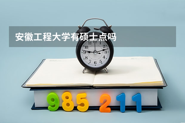 安徽工程大学有硕士点吗