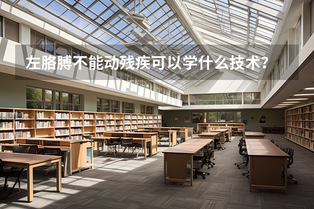 左胳膊不能动残疾可以学什么技术？