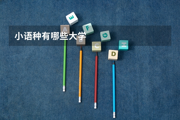 小语种有哪些大学