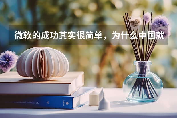 微软的成功其实很简单,为什么中国就没人做得到