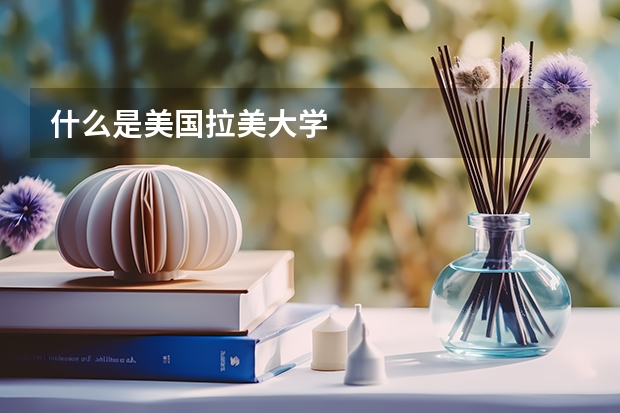 什么是美国拉美大学