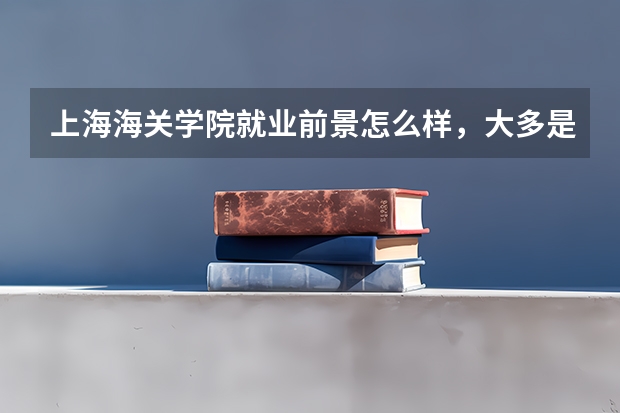 上海海关学院就业前景怎么样，大多是什么方向，进海关好进吗？