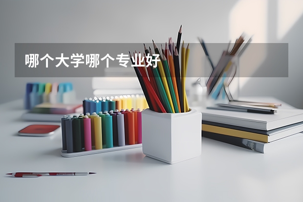 哪个大学哪个专业好