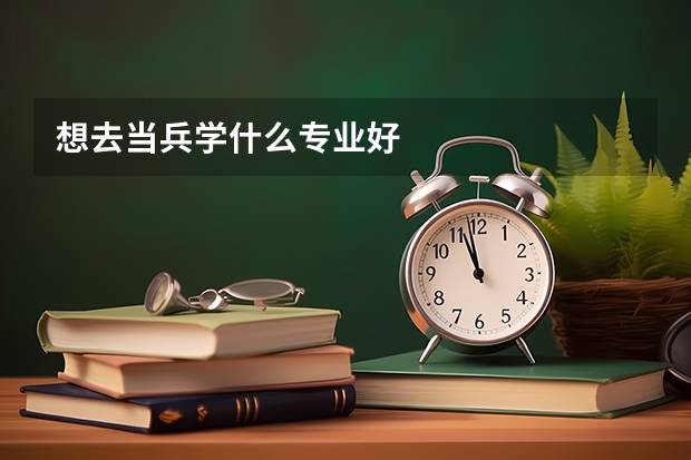 想去当兵学什么专业好