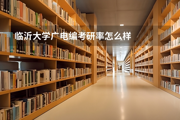 临沂大学广电编考研率怎么样