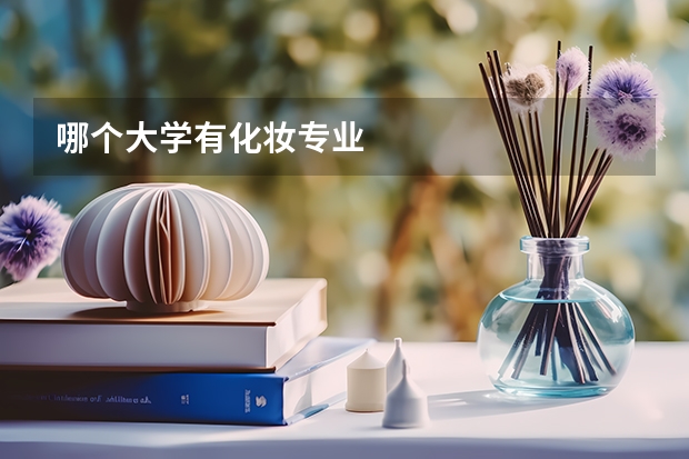 哪个大学有化妆专业