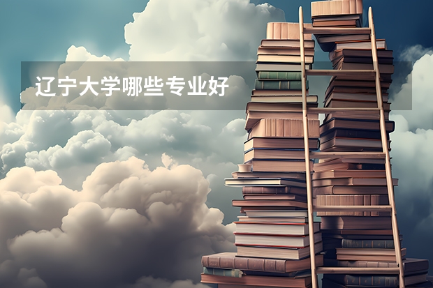 辽宁大学哪些专业好