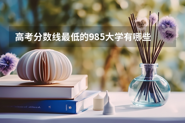 高考分数线最低的985大学有哪些