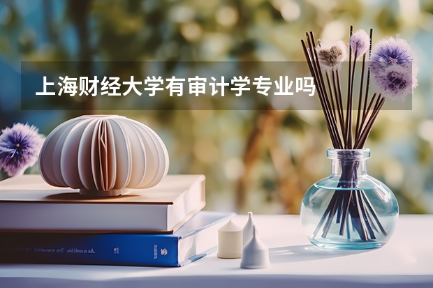 上海财经大学有审计学专业吗