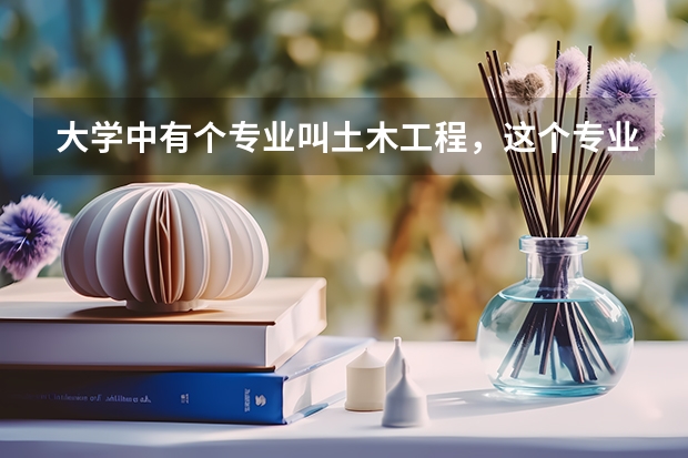 大学中有个专业叫土木工程，这个专业是干什么的？