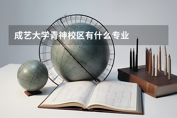 成艺大学青神校区有什么专业