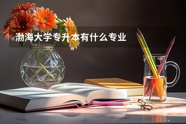 渤海大学专升本有什么专业