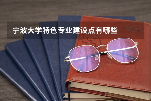 宁波大学特色专业建设点有哪些