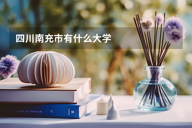 四川南充市有什么大学